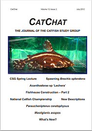 Catfish Study Group Journal