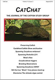 Cat Chat = Volume 14 issue 3: Aug. 2013