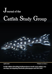 Volume 27 issue 1: April 2026